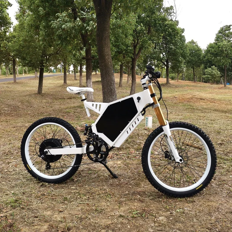 Dynalion Electric Bike 2022 Long Range Ebike Racing Bikes 1000 2000 ...