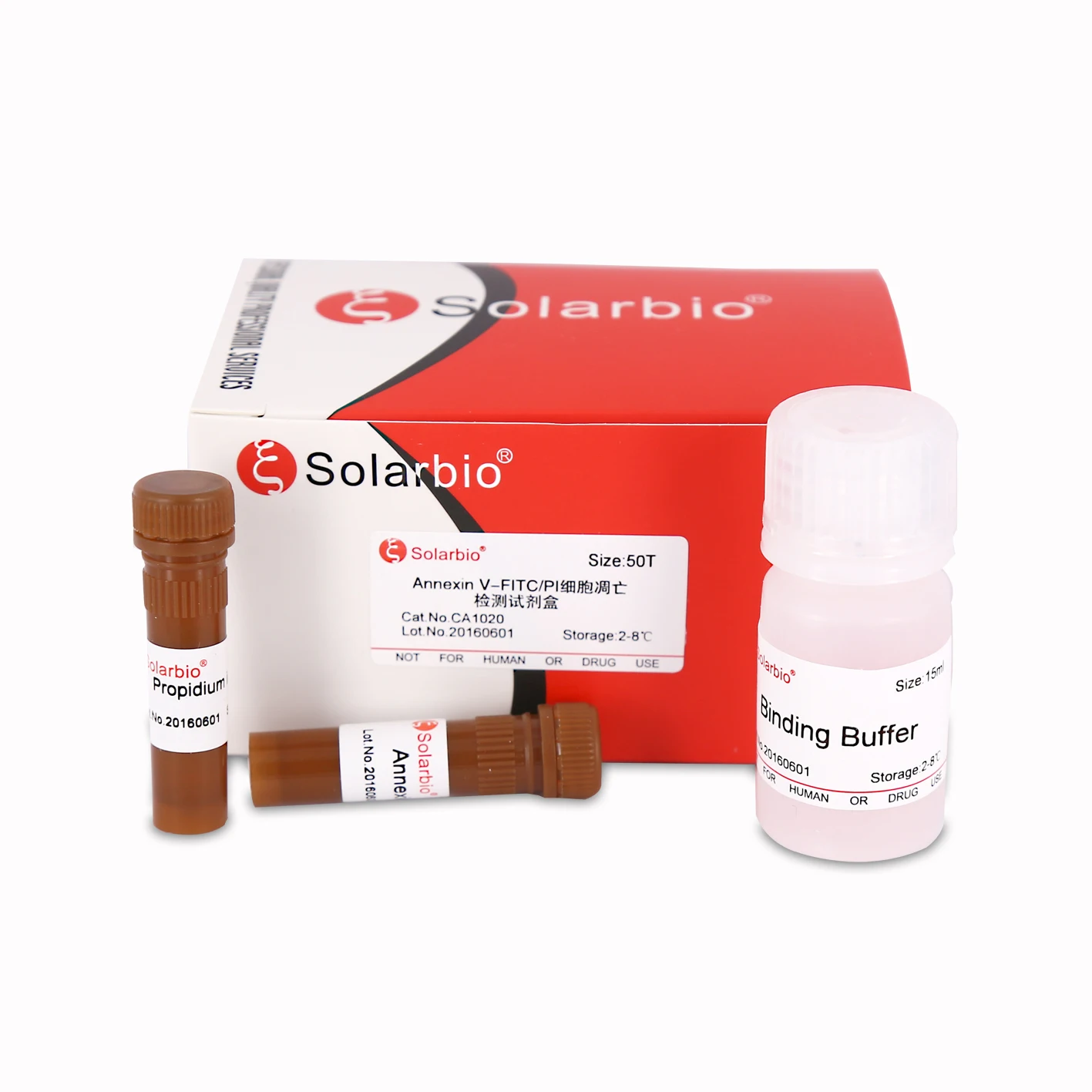 Solarbio Hugh Quality Recombinant Human/Mouse GDF-8/Myostatin/MSTN