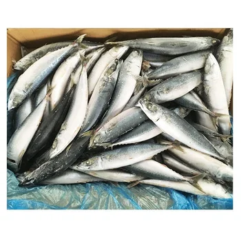 Wholesale Cheap Prices Seafood Frozen Fresh Pacific Mackerel Fish Whole Round