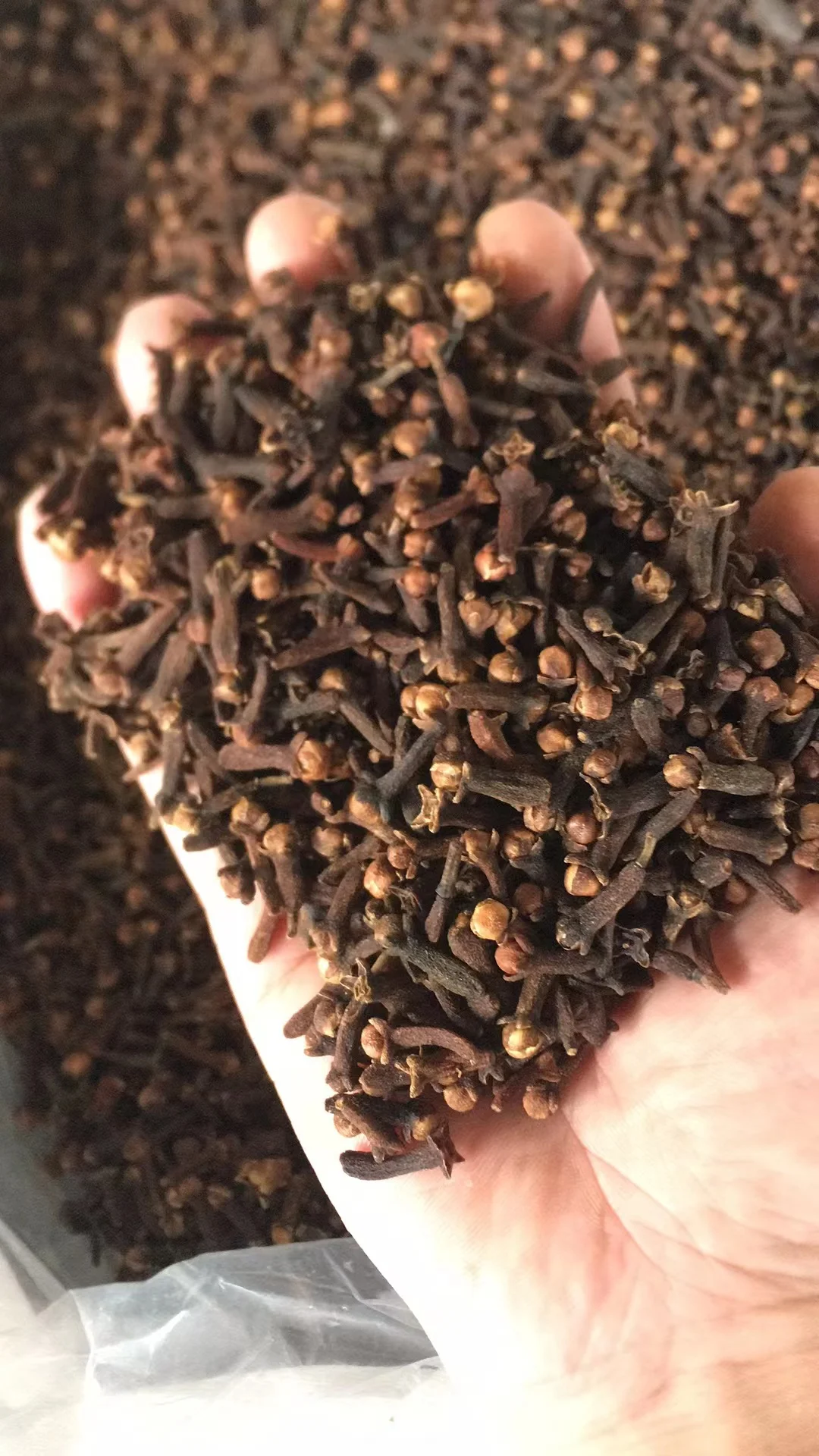 Best Price Natural Dried Whole Clove Spice Spices Supplier Wholesales Hot Spicy Herb Food Raw Export Pattern Drying Process Ad