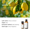 Lemon (Italy) 10ml