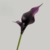 60cm Black Purple