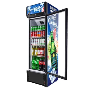 China Hot Selling Commercial 298L Cold Beverage Cooler Single Door Drink Display Cabinet Glass Door Upright Showcase Outdoor RV