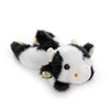Mucca