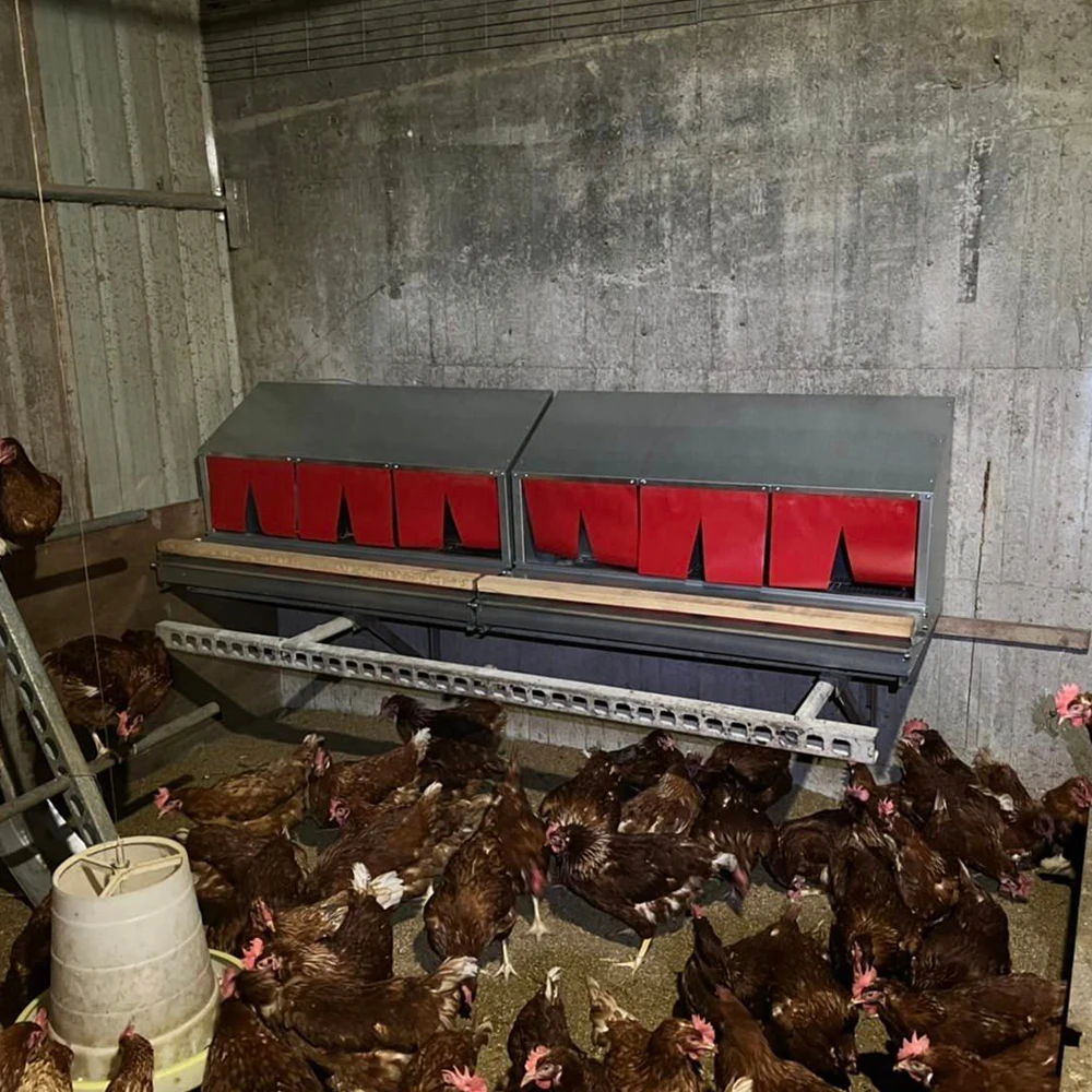 POULTRY HELPER Automatic Reversible Chicken Poultry Nesting Box for Laying Chicken Egg Nest Box Machine  Chicken Laying Boxes