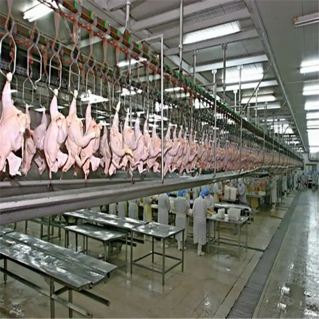 Poultry processing plant with slaughtering equipment