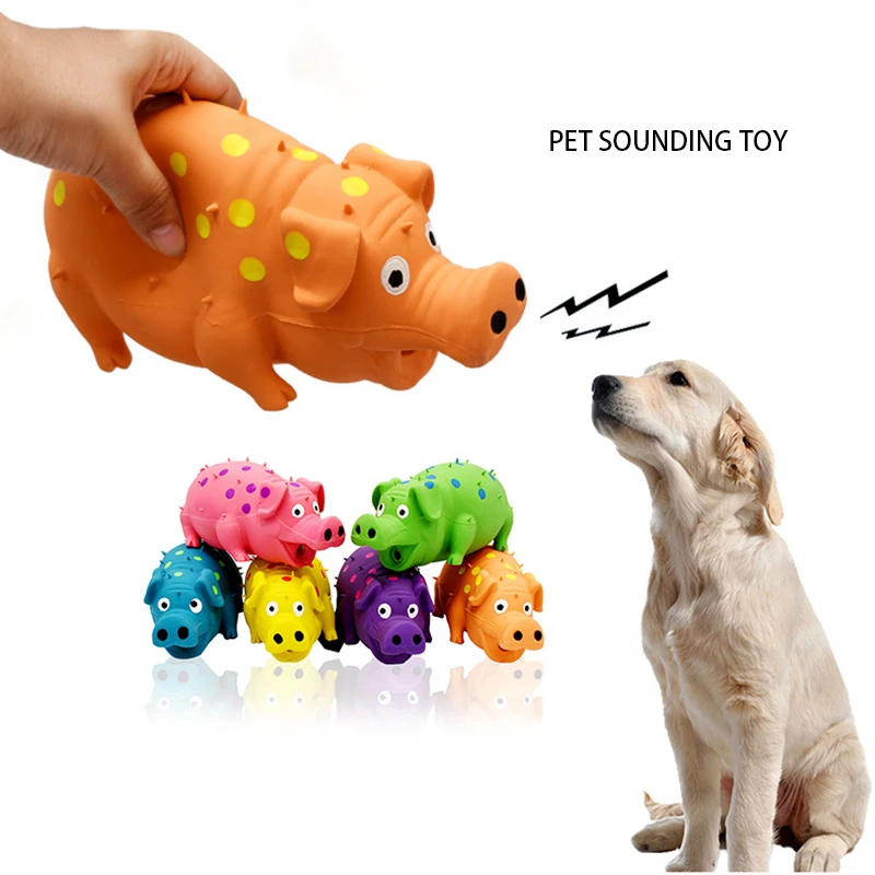 Goblet Grunting Polka Dot Mini Pig, Dog Shop Rubber Dog Toys