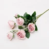 Pourpre