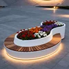 Style 3-customizable illuminated version