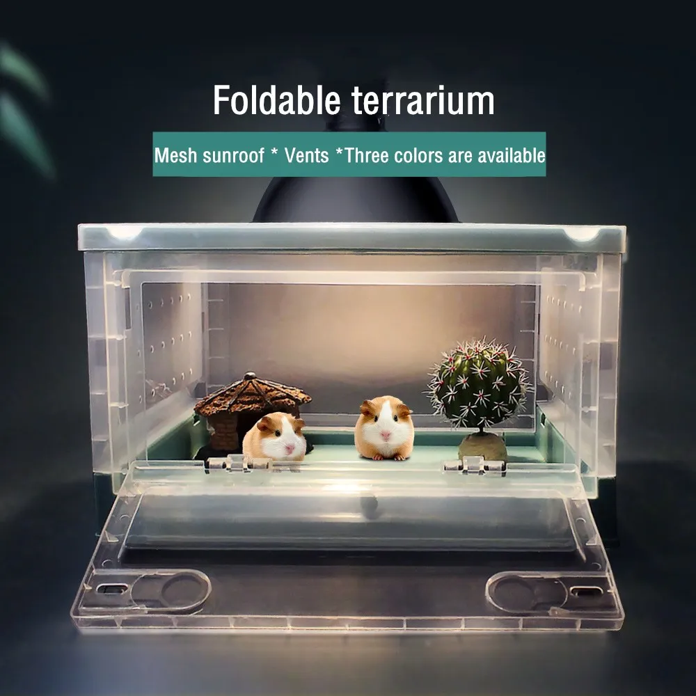 New Arrival Foldable Reptile Terrarium with Screen Ventilation Reptile  Feeding Box for Spider Lizard| Alibaba.com