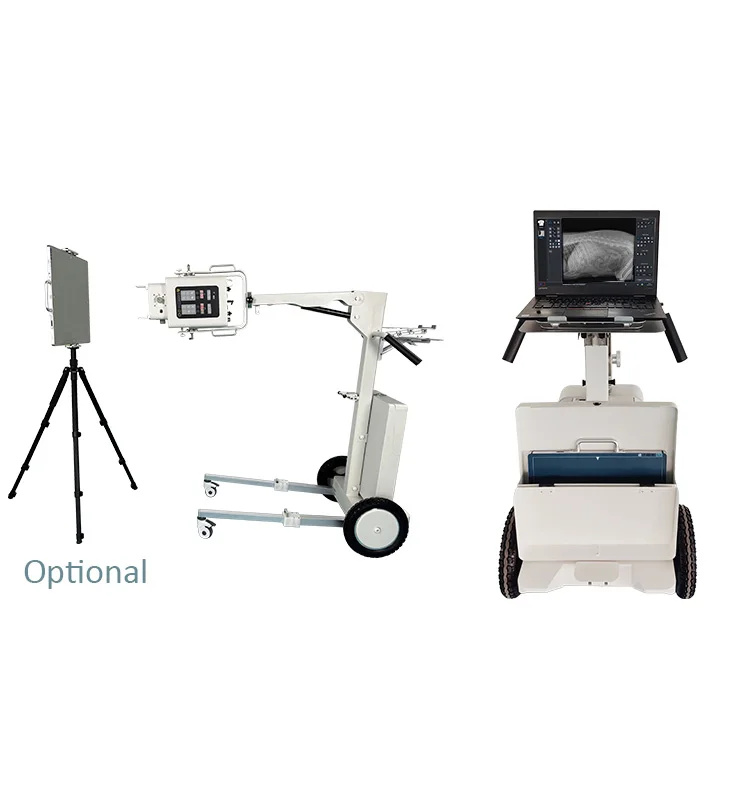 Safetynine High Frequency Radiography 100ma Xray System Medical