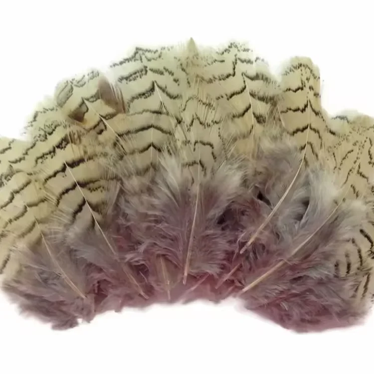 Partridge Pheasant Feathers for Sale  Small  Feathers  Natural