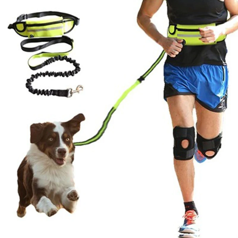 self tightening dog leash