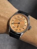 Salmon-42