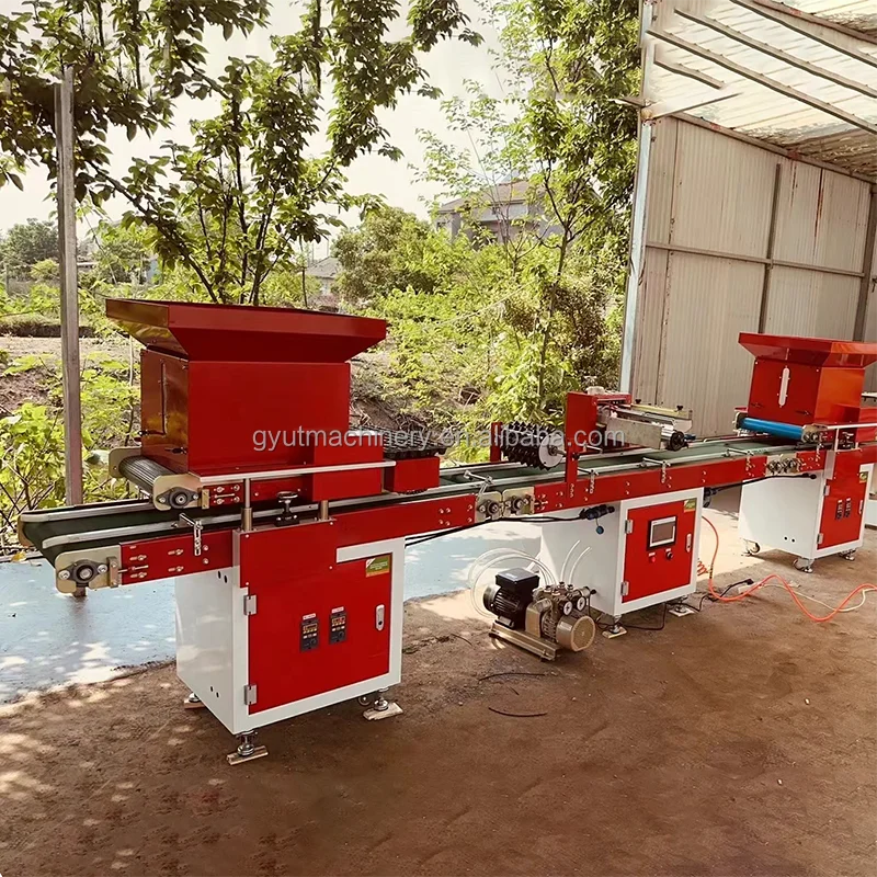High Efficiency Automatic Vegetable Seeder Sowing Machine Line Seedling Tray Paddy Seed Nursery Sowing Machine