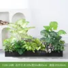 hc-Y100-14 es adecuado para jardineras de 100 cm.