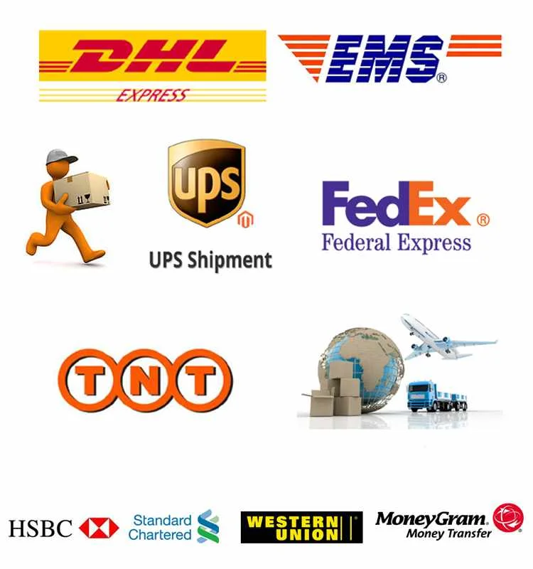 Drop Shipping Agent For Shopify Via Yanwen Ubi Yunexpress 4px With  Competitive Rate Shopify Dropshipping - Buy Shopify Via Yanwen Ubi  Yunexpress,Dropshipping,Shopify Dropshipping Product on 