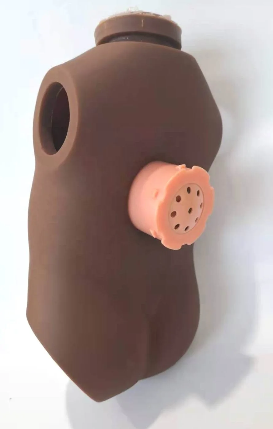 Animals Sound Custom Music Sound Box Bird Sound Box Baby Doll Education Toys Doll Accessory Baby Car Toys Mechanism