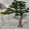 2#(Acial accogliente pino treertif deposito)