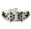 black spikes white