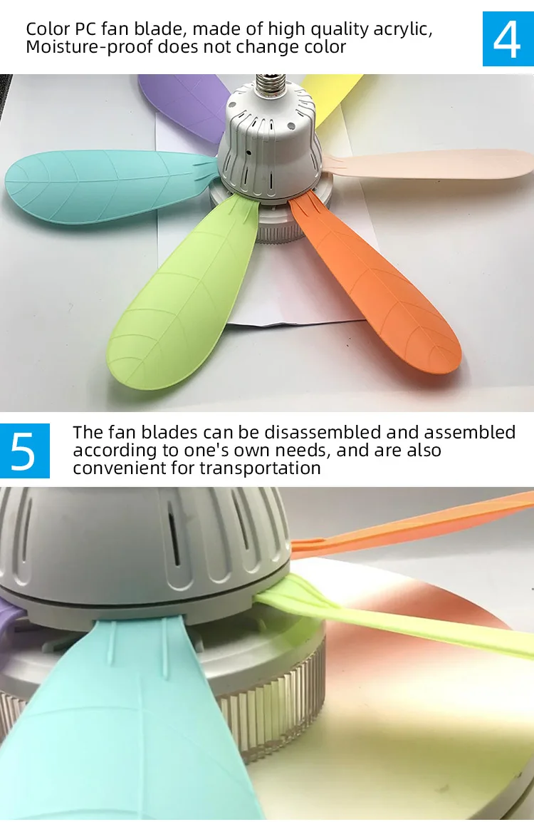 IB405_10.jpg