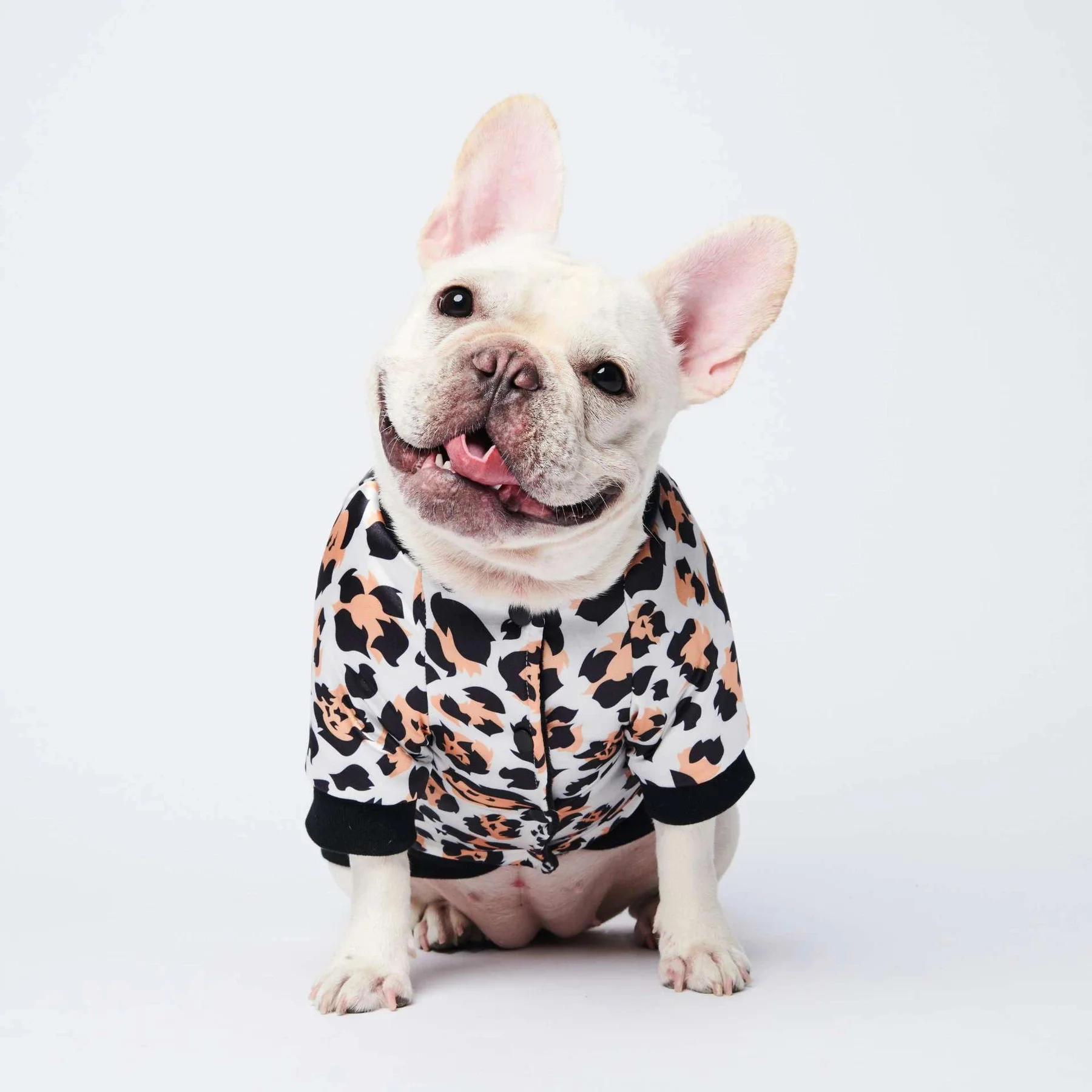 Ropa Clásica Con Estampado De Bulldog Francés Para Mascotas,Ropa De Marca De  Lujo Para Primavera Y Otoño - Buy Bulldog Francés Ropa,Ropa Para Mascotas  Ropa,Ropa De Perro Product on 