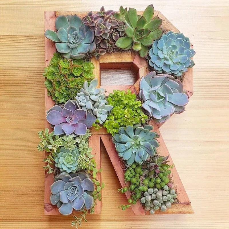 Multi Types Containers Wood Craft Garden Decoration Creative Letters ...