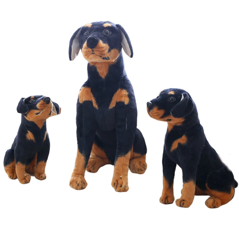 rottweiler teddy