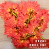 5-pronged red maple branches 12pcs