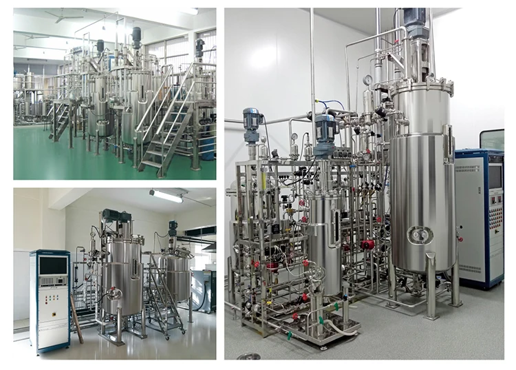 Spirulina Cultivation Pipeline Photobioreactor Temporary Immersion Bioreactor