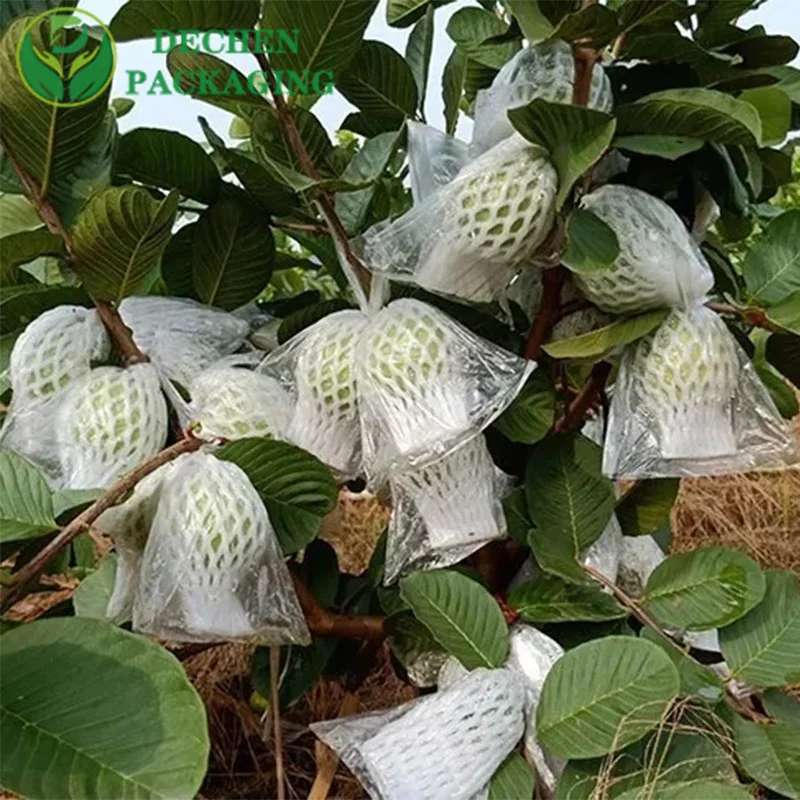 La guayaba cubre la red de espuma de los fabricantes de frutas