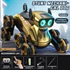 Dual remote control-Gold