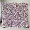 Violet 04