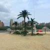 Lakeside decoration