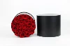 19 rose