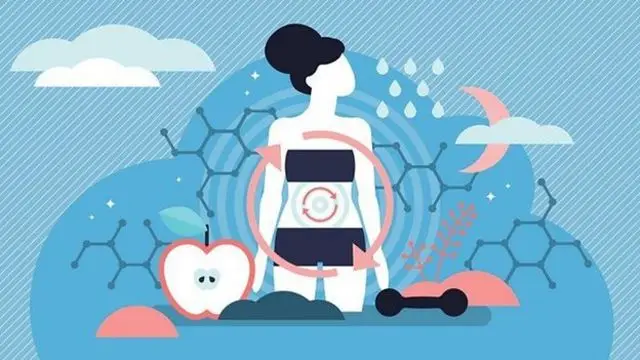fitness electrostimulation2