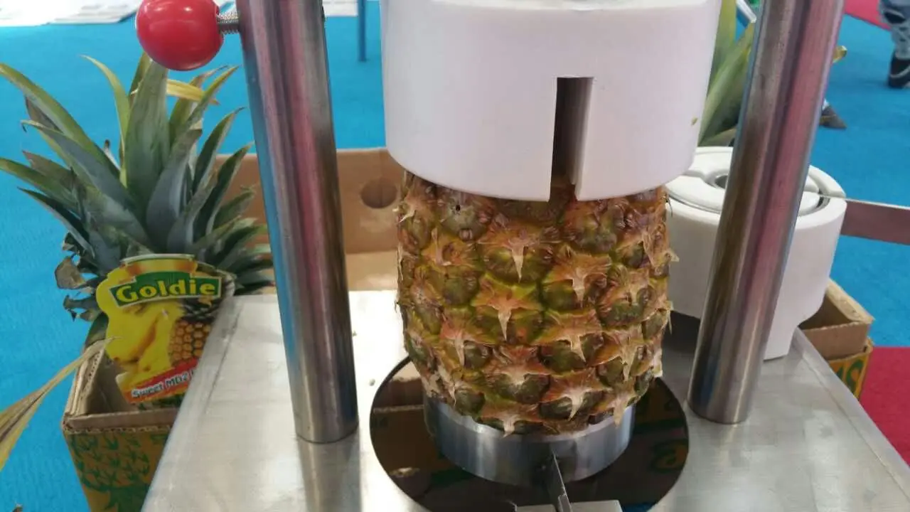 Quality 304 Stainless Steel Mini Pineapple Peeler Manual Pineapple
