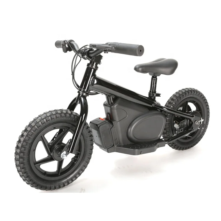 ebike 100w