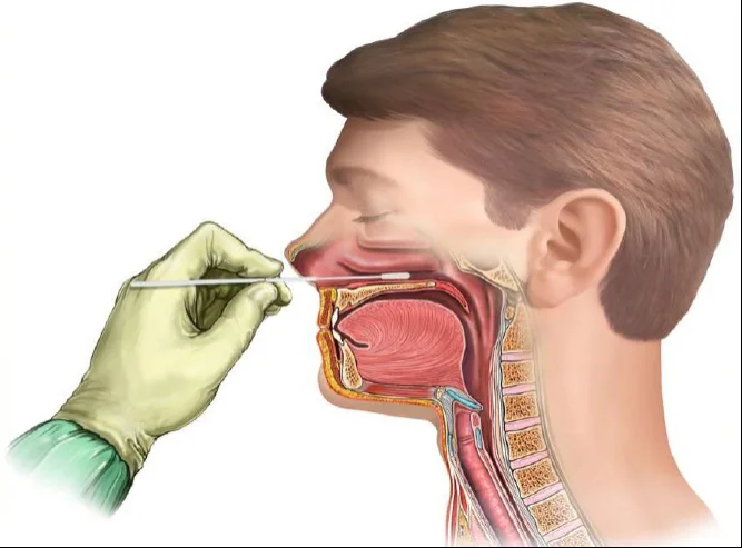 Medical Nasal Flocked Sampling Swab With Breakpoint Sterile Disposable Specimen Collection Nasopharyngeal Swabs factory