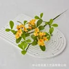 Short-branched island spring flowers - yellow