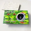 Coffret cadeau coccinelle Wishful Pearl 2