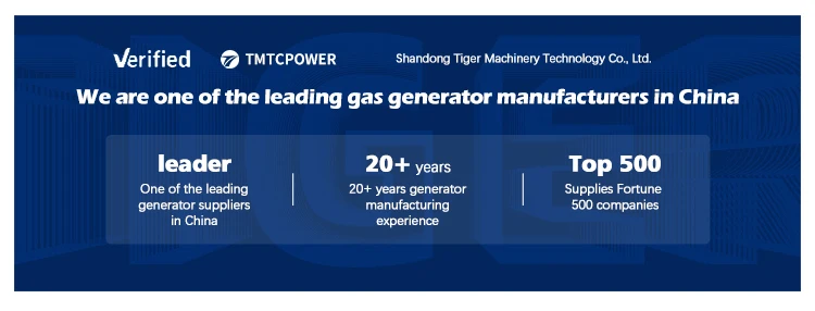 Small Wood Biomass Gasifier Generator for Household Power