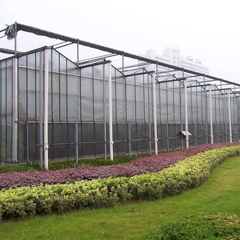China Supplier's Large Agricultural Greenhouses Multi-span Thin Film PC Sheet Sheds Single or Double Layer for Plant Usage