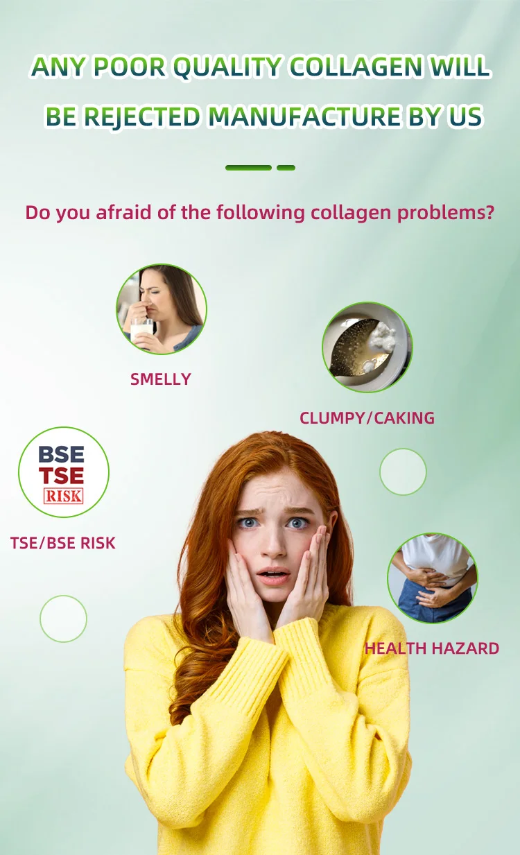 Natural Plant Based Protein Powder Organic Hydrolyzed Pea Protein Buy