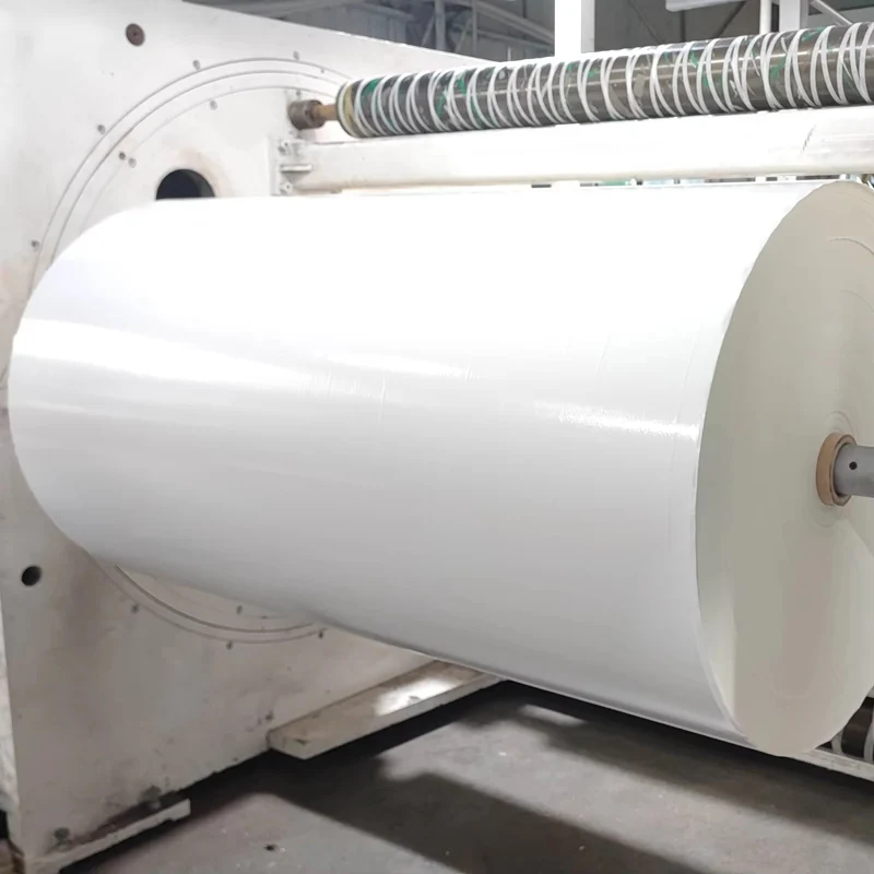 Factory 55gsm 55gr Thermal Pos Paper Jumbo Roll Bill Receipt Direct Thermal Paper Reels Jumbo Roll Thermal Labels Papers