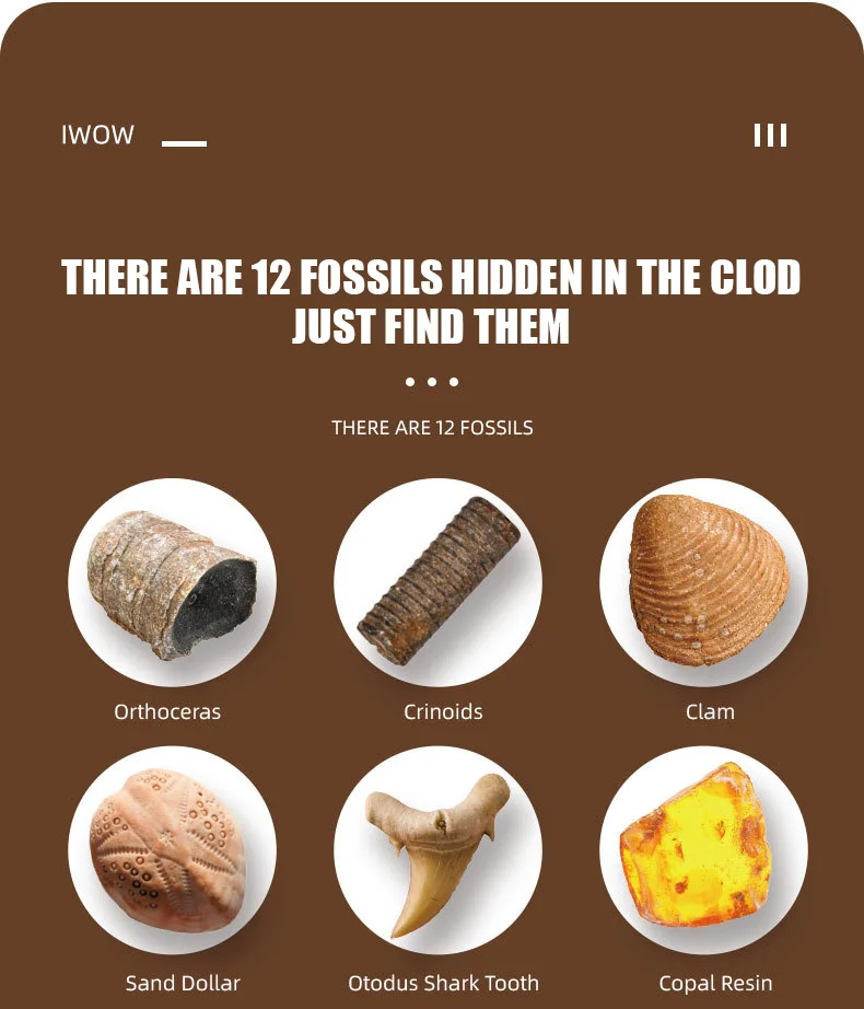 Factory Wholesale Natural Fossil Digging Children's Educational Toys