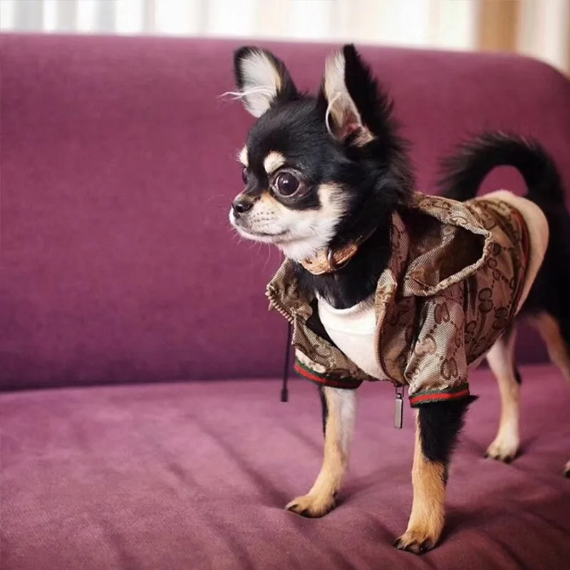 Luxury Designer Dog Clothes Pet Winter Sweater Leopard Print Style