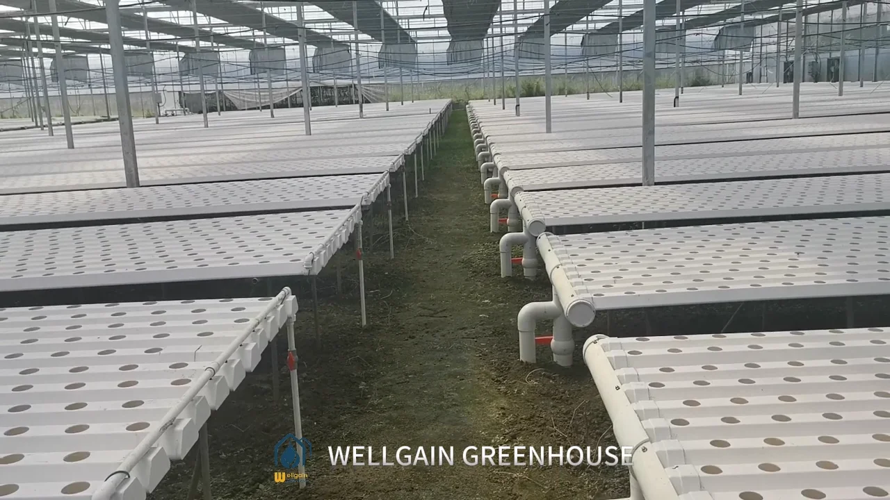 Vertical Farm Agricultural Greenhouse Hydroponic Nft System Grow Trays ...