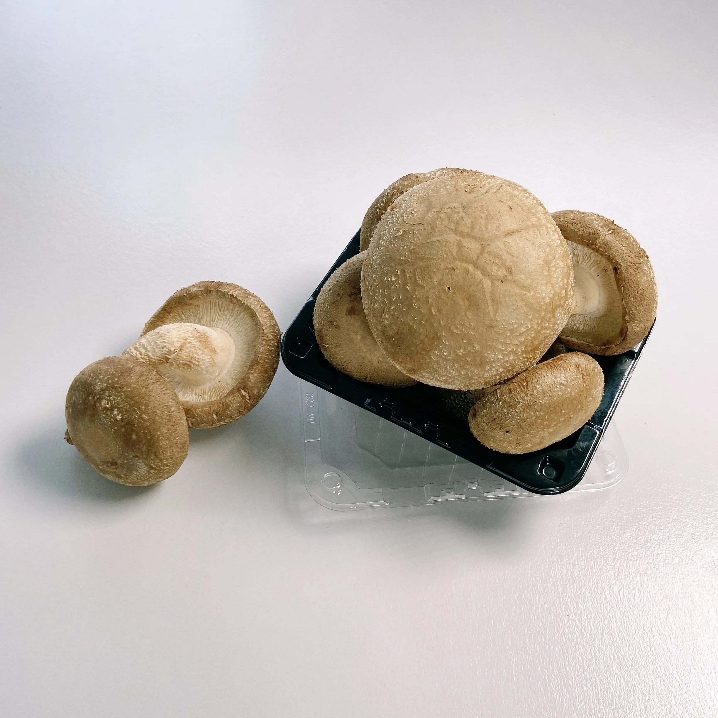 
 Оптовая продажа, большие вкусные свежие грибы шиитаке премиум класса  