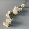 Milk white
